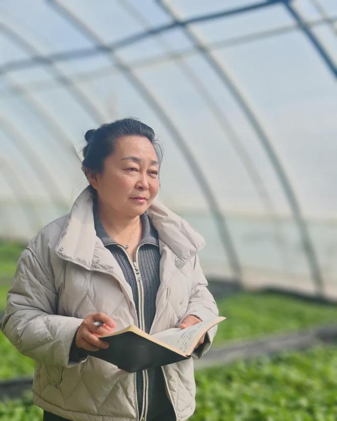 種業育繁推軟件