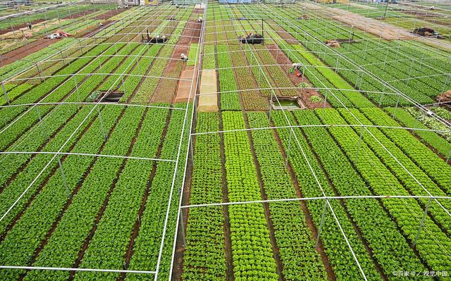 數字農業綜合管理平臺